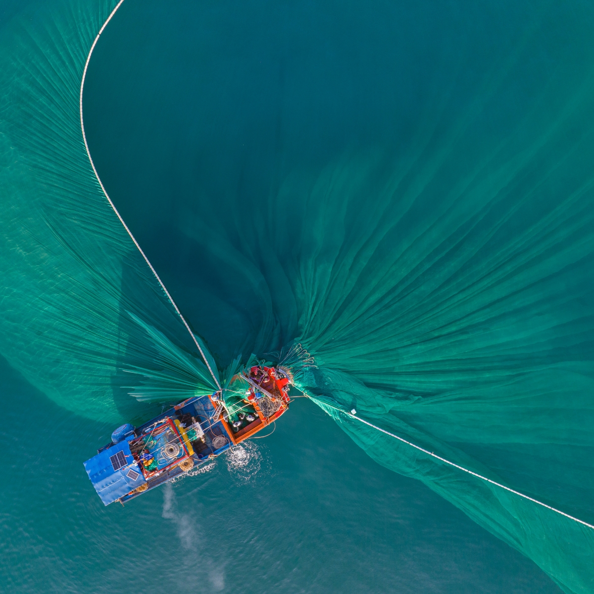 Redes y Monofilamentos Terramar Pesca